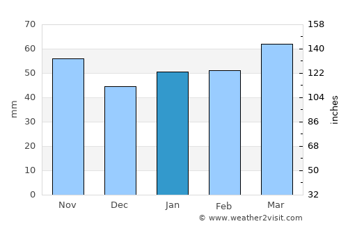 Nagano average rain in January