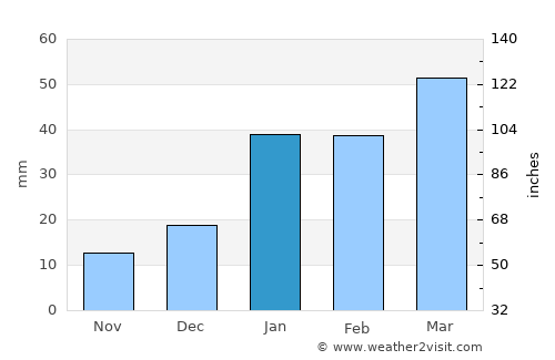 Nagar average rain in January