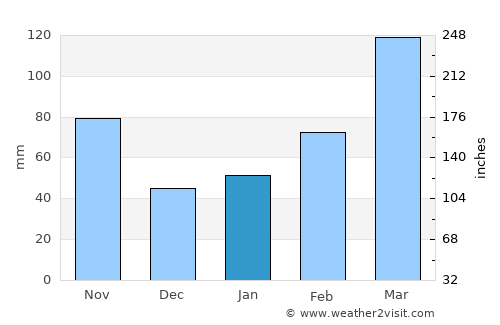 Nagoya average rain in January