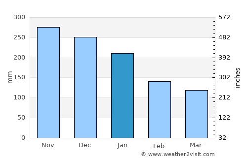 Naguabo average rain in January