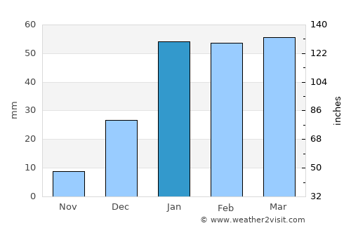 Naini Tāl average rain in January