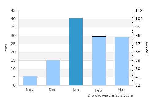 Najībābād average rain in January