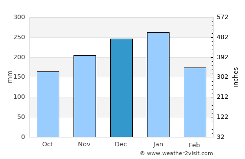 Namerikawa average rain in December