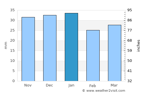 Nampa average rain in January