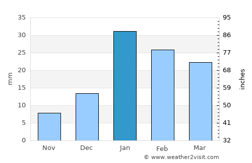 Nanauta average rain in January
