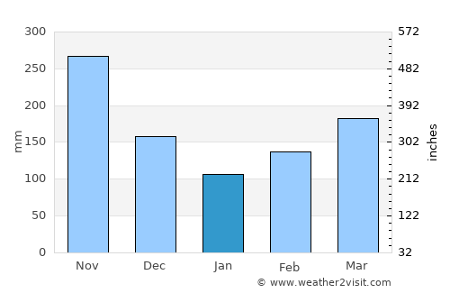 Nariño average rain in January