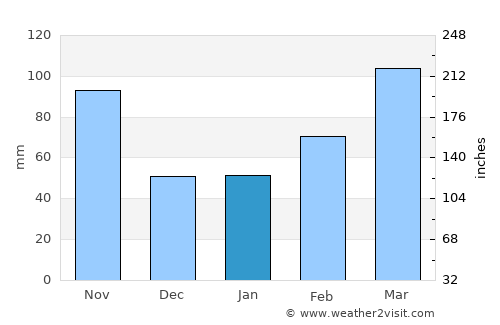 Narita average rain in January