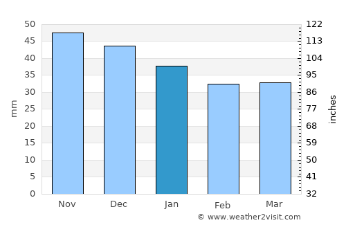 Narowlya average rain in January