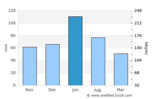 Narrabri average rain in January