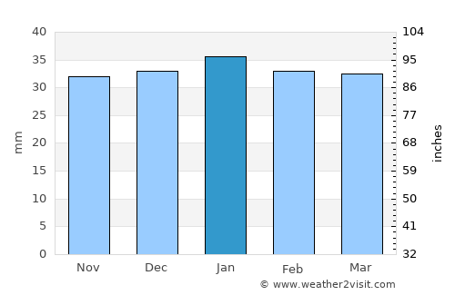 Narrandera average rain in January