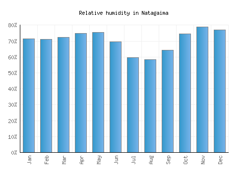 Natagaima relative humidity averages