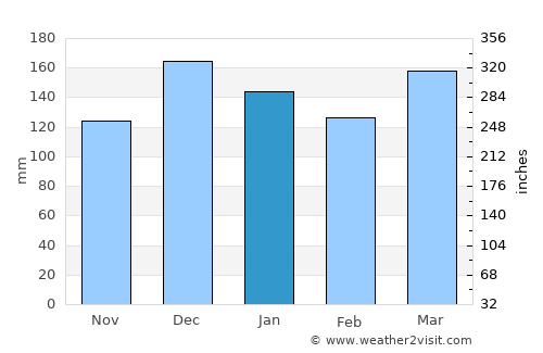 Natchez average rain in January