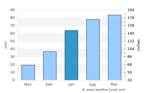 Nazir Town average rain in January