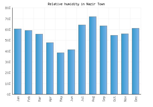 Nazir Town relative humidity averages