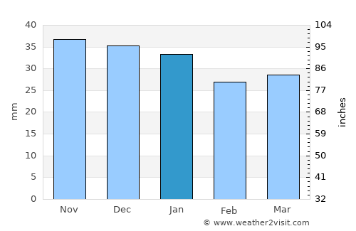 Neaua average rain in January