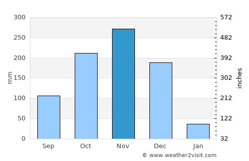 Needamangalam average rain in November