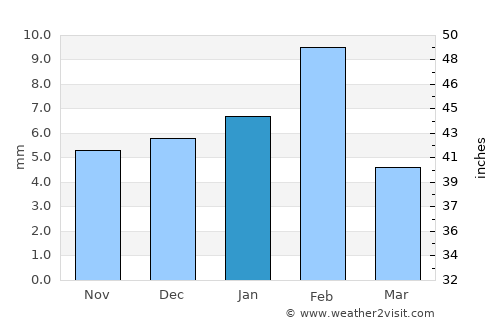 Neem ka Thana average rain in January