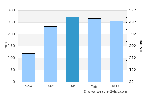 Negara average rain in January