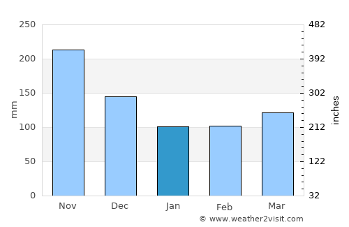 Neiva average rain in January