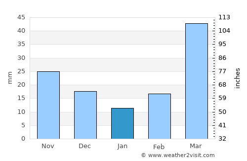 Neligh average rain in January