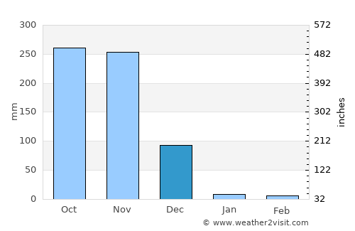 Nellore average rain in December