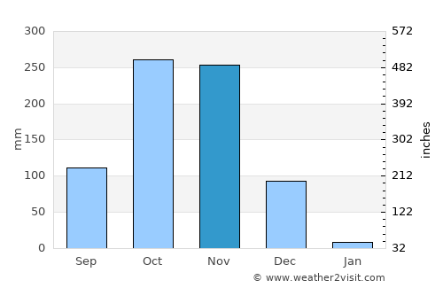 Nellore average rain in November