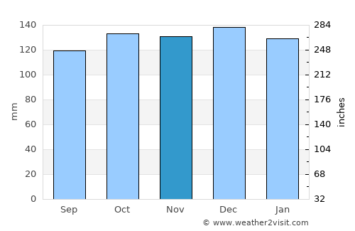 Nelson average rain in November