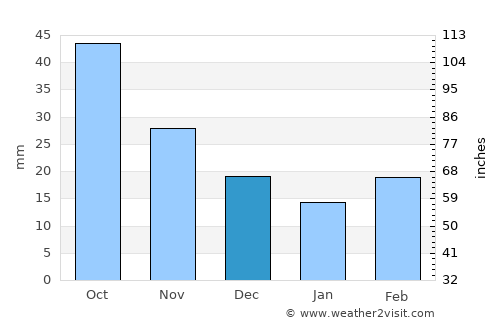 Nelson average rain in December