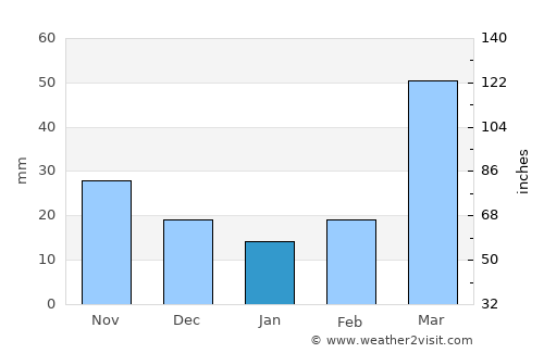Nelson average rain in January