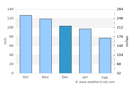 Nelson average rain in December
