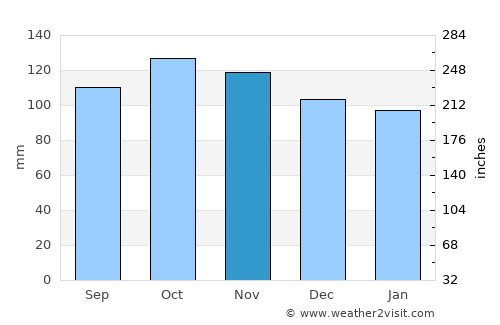 Nelson average rain in November