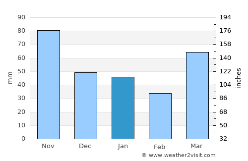 Nemuro average rain in January