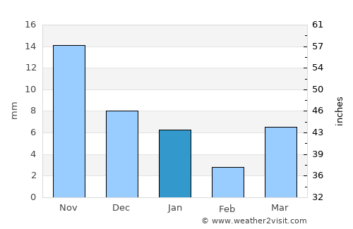 Nepa Nagar average rain in January