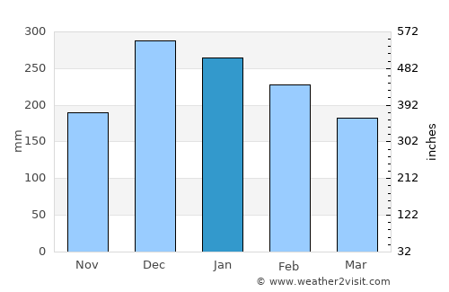 Nepomuceno average rain in January