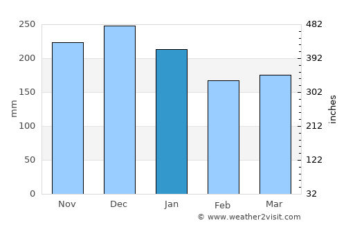 Nesna average rain in January