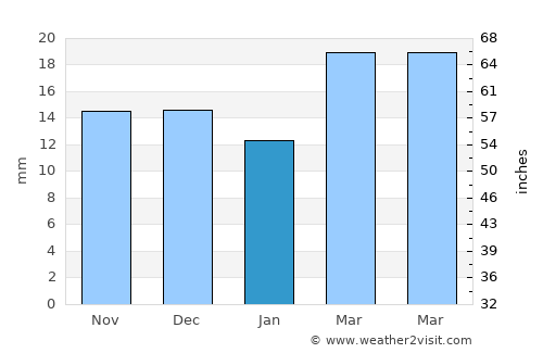 Neuquén average rain in January