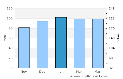 Neuse Forest average rain in January
