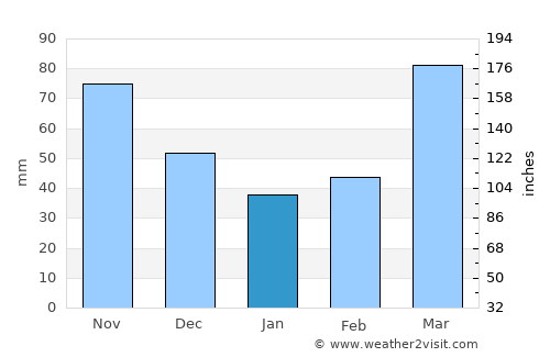 Nevada average rain in January