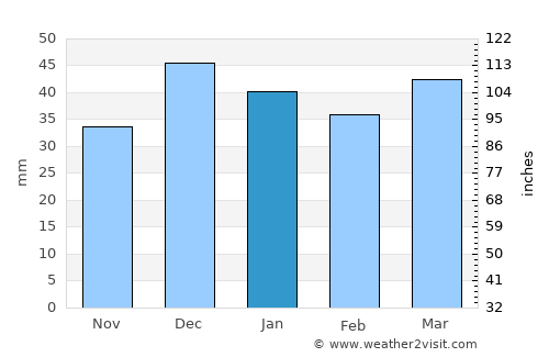 Nevşehir average rain in January