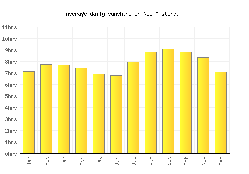 New Amsterdam average daily sunshine chart
