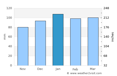 New Bern average rain in January