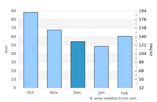 New Braunfels average rain in December