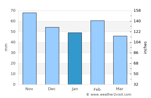 New Braunfels average rain in January