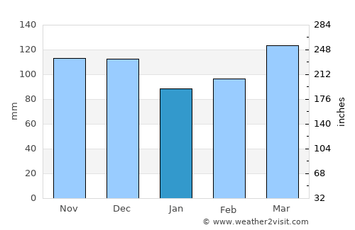 New Madrid average rain in January