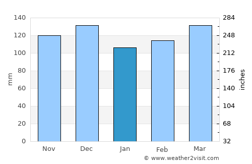 New South Memphis average rain in January