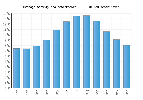 New Westminster average sea temperature chart (Celsius)