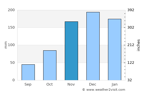 Newberg average rain in November