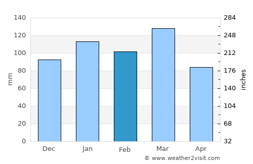Newberry average rain in February