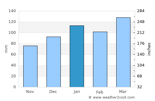 Newberry average rain in January