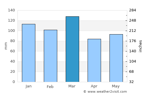 Newberry average rain in March